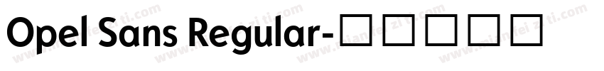 Opel Sans Regular字体转换